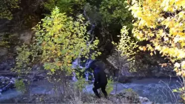 Saklı Cennet Hizan' Fotoğraflandı
