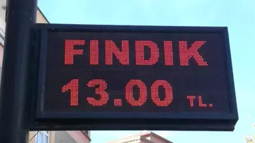 Serbest Piyasada Fındık Yükselişe Geçti