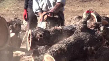 Bitlis Kömür Fiyatlarındaki Artış, Odunculara Yaradı