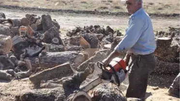 Kömür Fiyatlarındaki Artış, Odunculara Yaradı