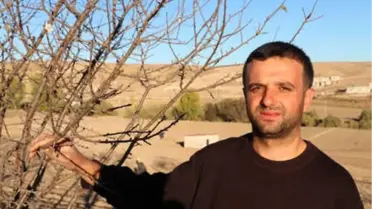 Bahçesindeki Erik Ağacı Kasımda Çiçek Açtı