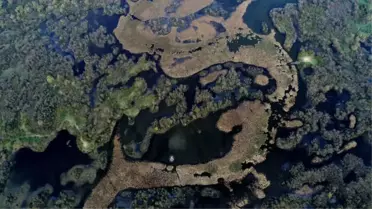 Karacabey Longoz'unda Sonbahar Güzelliği