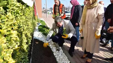 Bilecikliler Günü'nde 11 Bin 111 Çiçek Toprakla Buluştu