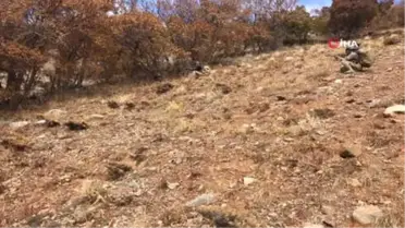Çatak'ta Toprağa Gömülü Eyp ile Çok Sayıda Yaşam Malzemesi Ele Geçirildi