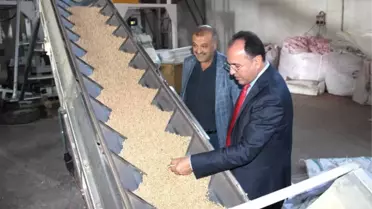 Yerli Tohumun Merkez Üssü Adıyaman'dan Yurt Dışına Tohum İhracatı