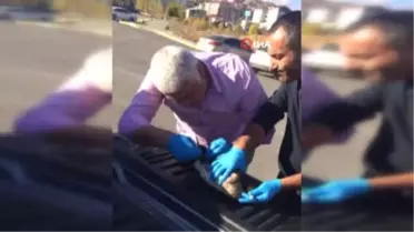 Midesinde 2 Olta Kancası Bulunan 'Karabatak' Kurtarıldı