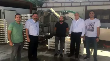 Yalova'ya Termal Su ile Gıda Kurutma Tesisi Kurulacak