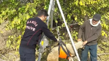 Kuyuya Düşen Koyunu İtfaiye Kurtardı