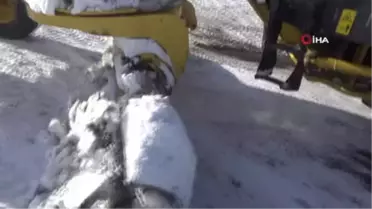 Fırtınada Mahsur Kalan Hayvanlar 8 Saatlik Çalışmanın Ardından Kurtarıldı