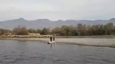 Baraj Kapakları Açıldı, Çoban ve Koyunları Mahsur Kaldı