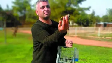 Tuzak Kurularak Yakalanan Kuşlar Doğaya Bırakıldı