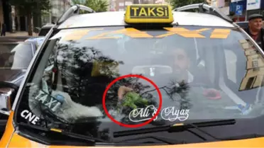 Bindikleri Takside İguanayla Karşılaşan Yolcular, Şaşıp Kalıyor