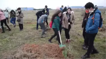 İstanbul'dan Gelip Çerkezköy'de Fidan Diktiler