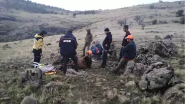 Ayağı Kırılan Avcıya Köpeğinin Sevgi ve Sadakati