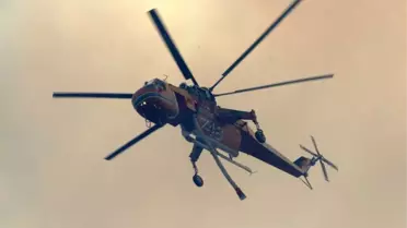 Avustralya'da Orman Yangını