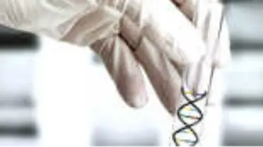DNA Testleri de Black Friday ile İndirime Gitti!