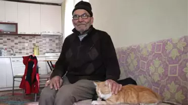 Ali Dede Yeni Evinde Kedileriye Birlikte Yaşıyor