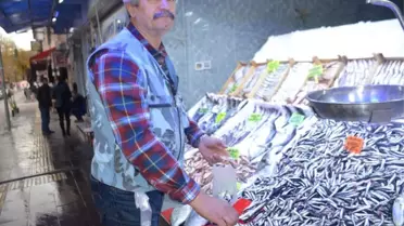 Tezgahlarda Hamsi Bereketi