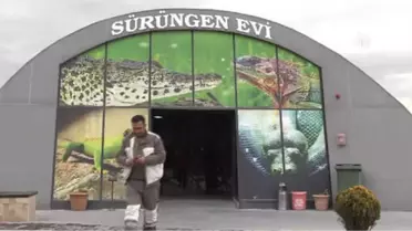 Mesleğini Bıraktı, Yılan Bakıcısı Oldu