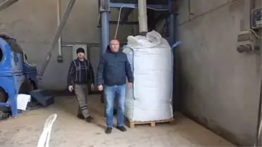 Yunanistan Zeytin Çekirdeği ile Isınacak