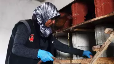 Engelli Vatandaş, Devlet Desteği ile Kurduğu Tavuk Çiftliğinde Siparişlere Yetişemiyor