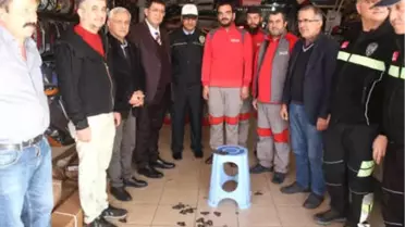 Antalyalı Esnaf, Emniyet Kemeri Sinyalini Kesen Tokaları Kırdı