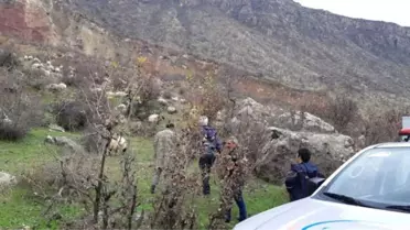 Kayalıklarda Mahsur Kalan Keçi Kurtarıldı