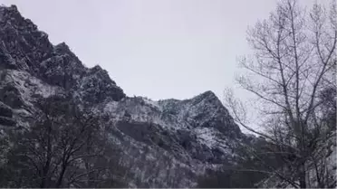 Tunceli'de, Mağarada Saklanan PKK'lı Teröristlere Operasyon (2)
