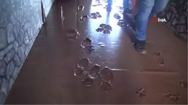Kırılan Baraj Kapağının Yükselttiği Sular Çekildi, Zarar Ortaya Çıktı