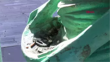 Antalya'yı Güzelleştiren Heykelleri Kırdılar