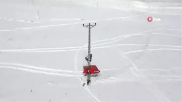 Kar Kaplanları' Ölüme Meydan Okuyor