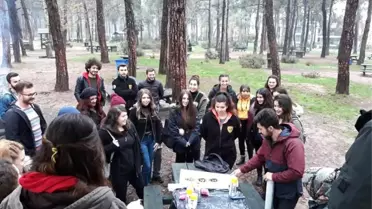 Sokak Hayvanları İçin Alternatif Mama Kapları Hazırlandı