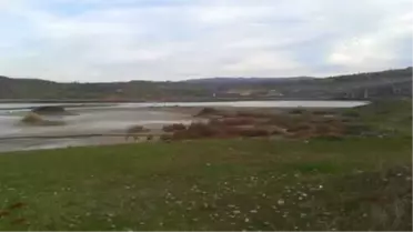 Dicle Barajı'nda Su Seviyesinin Düşmesi Balıkçıların Yüzünü Güldürdü