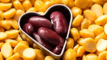 ‘GPC Pulses Contract No.1’in Türkçe versiyonu yayınlandı