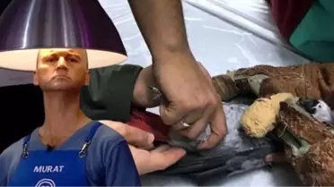 MasterChef Murat Özdemir'in Eziyet Ettiği Papağan Tedavi Altına Alındı