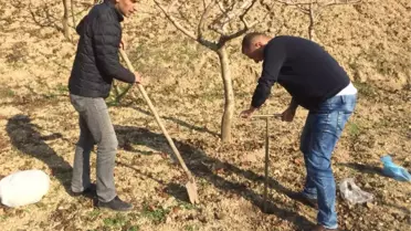 Siirtli Çiftçiler Toprak Analizi Ücretsiz Yapacak