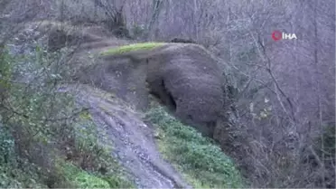 Ordu'daki 'Fil Kayası' Görenleri Şaşırtıyor