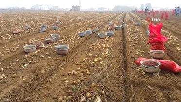 Tarlada 1 Lira 50 Kuruş Olan Patates Markette 4 Lira