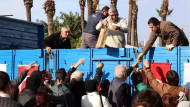 Bodrum'da 1 Saatte 7 Bin Fidan Dağıtıldı