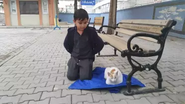 Küçük Yusuf'un Büyük Sevgisi