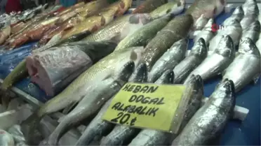 Elazığ'da Balık Bereketi, Hamsiden Bile Ucuz