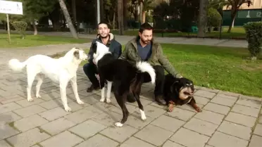 Bu Mesleği Yapabilmenin Tek Şartı Sevgi