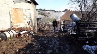 Yaşlı Adam, Yolunu Kaybedince Donarak Öldü