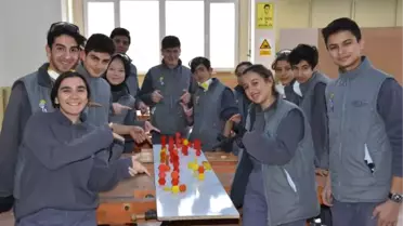 Ahşap Oyuncak İhraç Edecekler