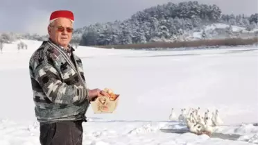180 Kuş Çeşidinin Yaşadığı Yayla Gölü Buz Tuttu