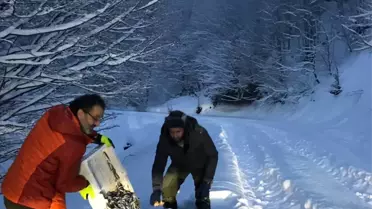 Yaban Hayvanları İçin Ormanlık Alana Yiyecek Bıraktılar