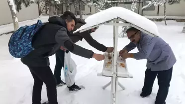 Üniversiteli Öğrenciler Kuşlar İçin Doğaya Yem Bıraktı