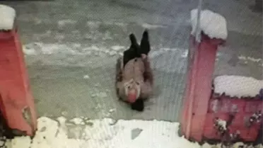 Buzlanan Yolda Ölümden Böyle Döndü