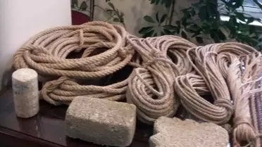 Cumhurbaşkanı Erdoğan'ın 'Kenevir Üreteceğiz' Açıklaması Kastamonu'da Sevinçle Karşılandı