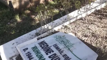 Adana'da Mezar Taşlarına Saldırı